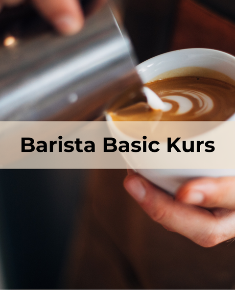 Barista Basic Kurs