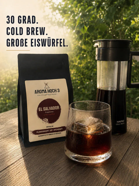 Cold Brew mit großem Eiswürfel und Aroma Hoch 3 El Salvador Kaffee im Sommerlicht