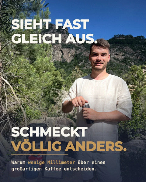 Ganze Bohnen oder gemahlen? Der richtige Mahlgrad für jede Kaffeemaschine