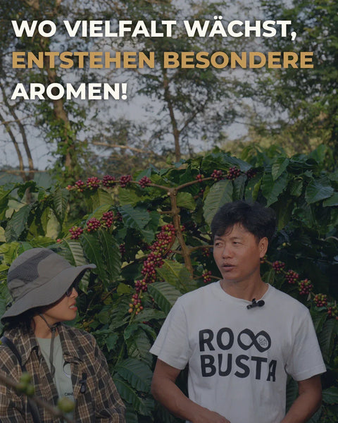 Warum Kaffee nach Schokolade schmeckt – ohne künstliche Aromen