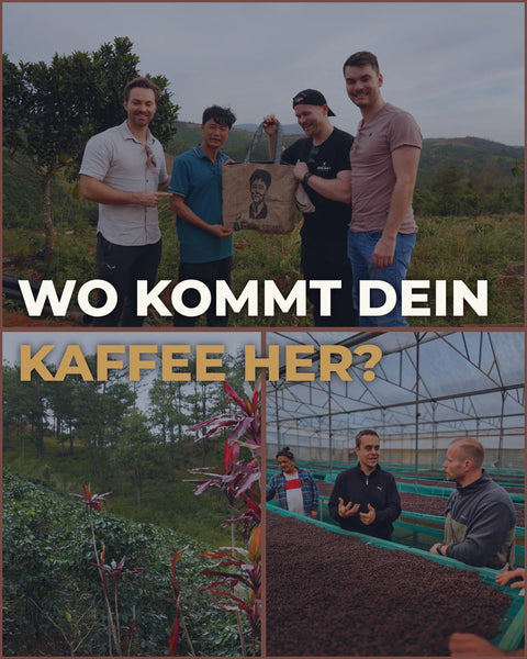 Collage über die Herkunft von Kaffee: Menschen auf einer Kaffeeplantage, Kaffeefelder und Verarbeitung von Kaffeebohnen im Gewächshaus. Textoverlay: 'Wo kommt dein Kaffee her?' – authentischer Einblick in den Ursprung von Specialty Coffee.