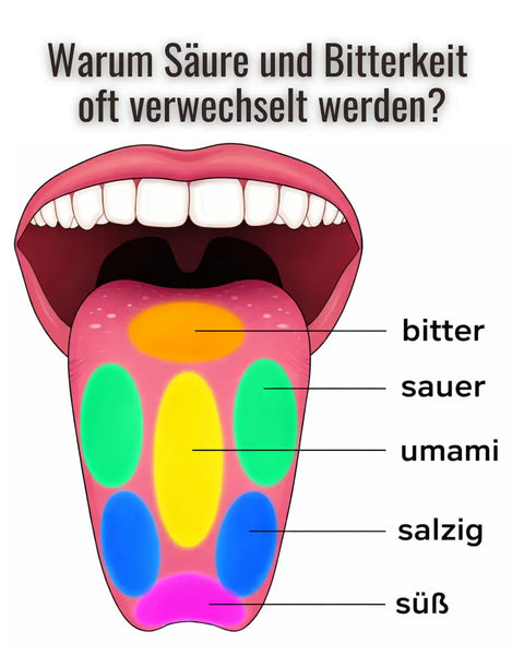 Wo werden Säure und Bitterkeit auf der Zunge wahrgenommen.