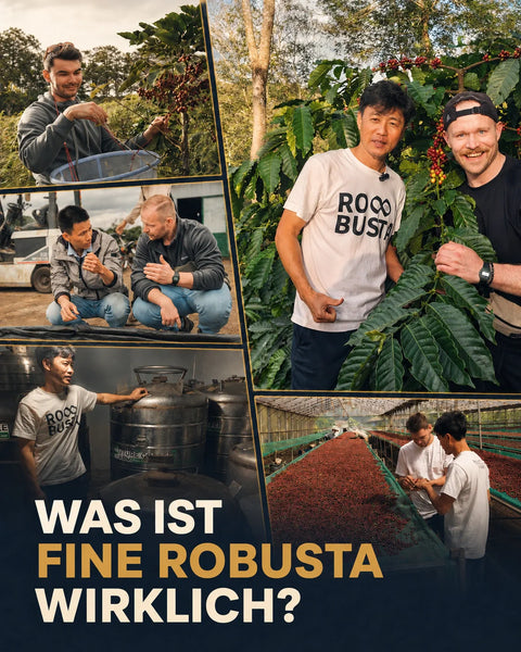 Bildcollage über Fine Robusta Kaffee: Mehrere Szenen zeigen Kaffeeernte, Farmer, Kaffeekirschen an der Pflanze, Verarbeitungstanks und Trocknungsbetten. Unten steht groß der Text: „Was ist Fine Robusta wirklich?“