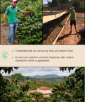 Entdecken Sie unseren 100% Arabica Spezialitätenkaffee aus Brasilien - Petunia. In unserer Rösterei in Oberererlbach, nahe Nürnberg in Mittelfranken, wird dieser Kaffee von dem umweltbewussten Erzeuger, Gerson da Silva, sorgsam veredelt. 