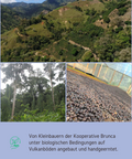 Costa Rica Speciality Coffee Spezialitaetenkaffee Roesterei Fraenkisches Seenland Nuernberg Schwabach Arabica Brunca