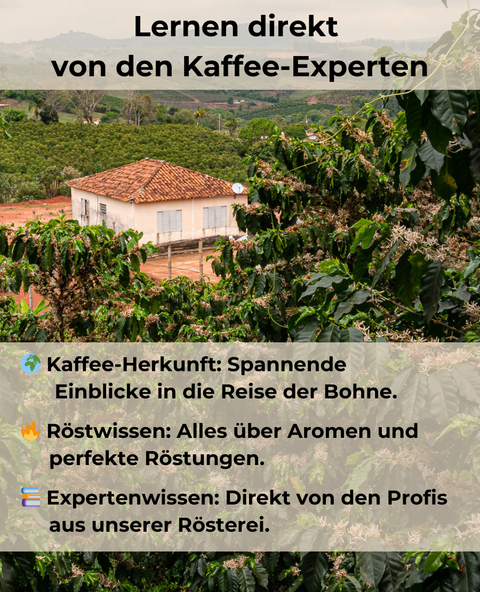 Barista Basic Kurs