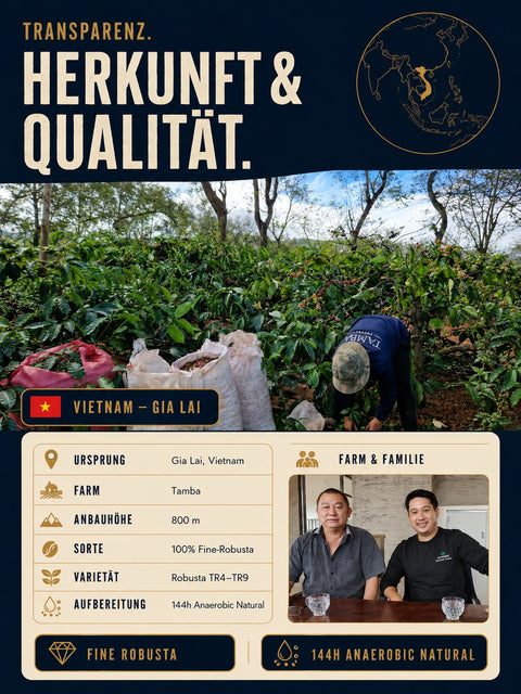 Vietnam Siêu Sao