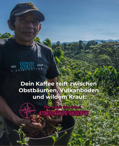 Kolumbien Finca La Mejorana
