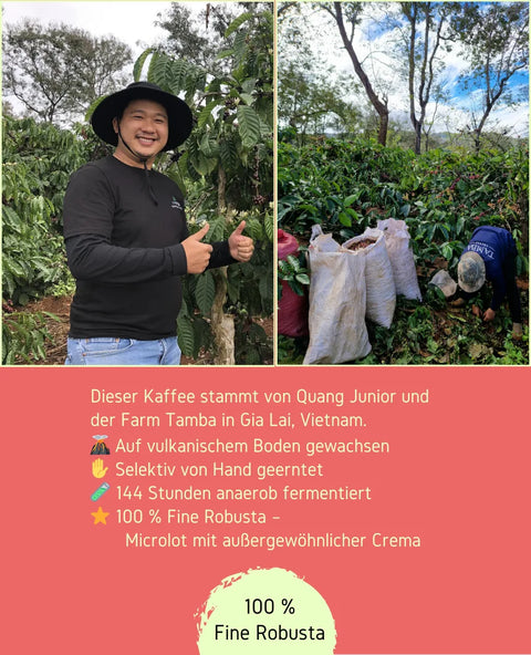Vietnam Siêu Sao- 100% Fine Robusta | Rarität
