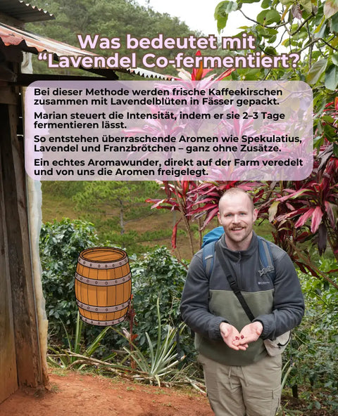 Vietnam Lavender -  mit Lavendel Co-fermentiert | Rarität