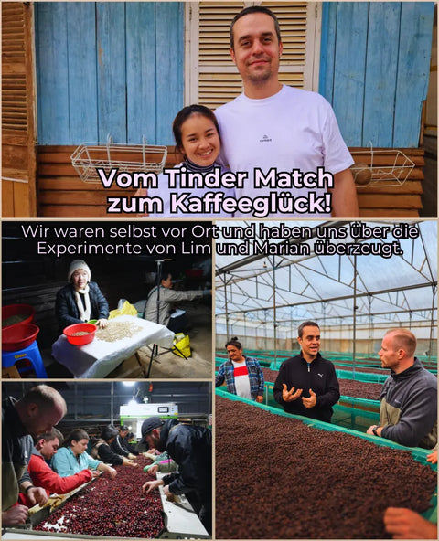 Vietnam Lavender -  mit Lavendel Co-fermentiert | Rarität