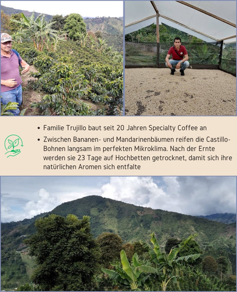 Arabicabohnen aus Kolumbien von der Villa Esperanza mit dem Geschmacksnoten Kirsche, Steinfrucht und Karamell. Die Kaffeeroestung ist eine milde Röstung und optimal für  Filterkaffee. Die Bohne ist 100% Arabica. Aroma Hoch 3 die Spezialitaetenkaffeeroesterei aus dem Fraenkischen Seenland!