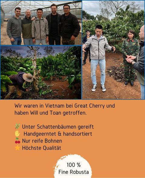Great Cherry ist ein noch sehr junger Kaffeeproduzent und denkt mit seiner Process Station die Zukunft des Kaffees neu. Der Kaffee wächst unter Schattenbäume und dadurch kann sich das beste Geschmacksaroma ausbilden. Durch seine Arbeit trägt er dazu bei, dass die Robusta-Bohne eine geschmackliche Revolution erlebt und Kaffee aus Vietnam bekannt wird. Wir in der Kaffeerösterei veredeln anschließend in Obererlbach, in der Nähe von Nürnberg in Mittelfranken, die Bohnen.