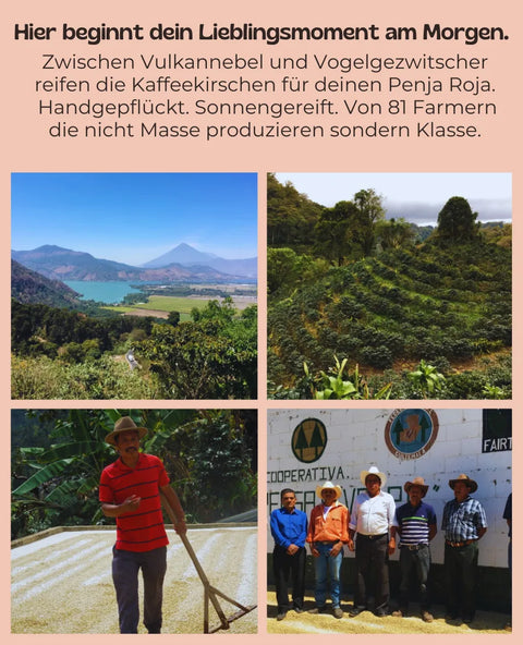 Guatemala Penja Roja - Filterröstung