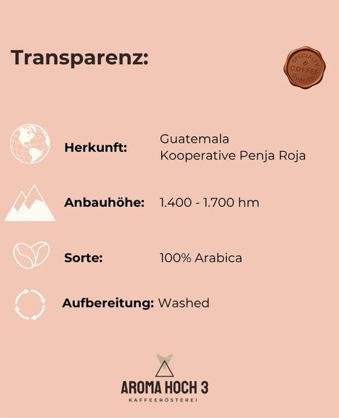 Guatemala Penja Roja - Filterröstung