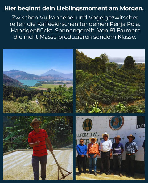Guatemala Penja Roja - Espressoröstung