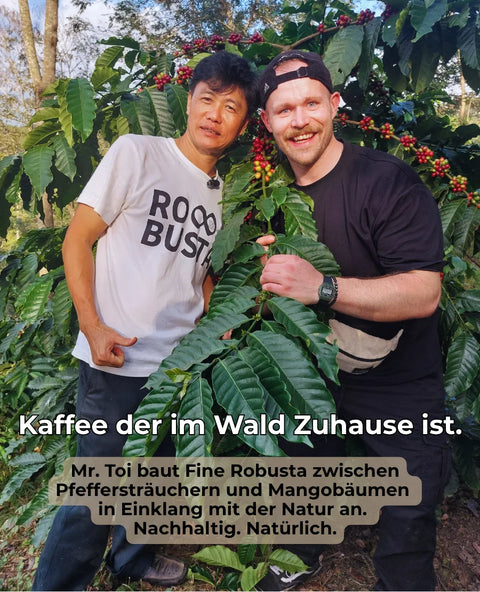 Mr Toi - 100% Fine Robusta