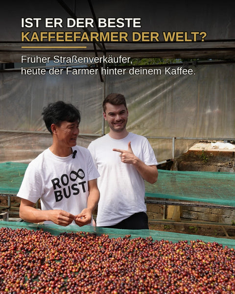 Mr Toi - 100% Fine Robusta