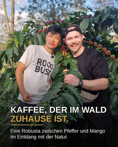 Mr Toi - 100% Fine Robusta